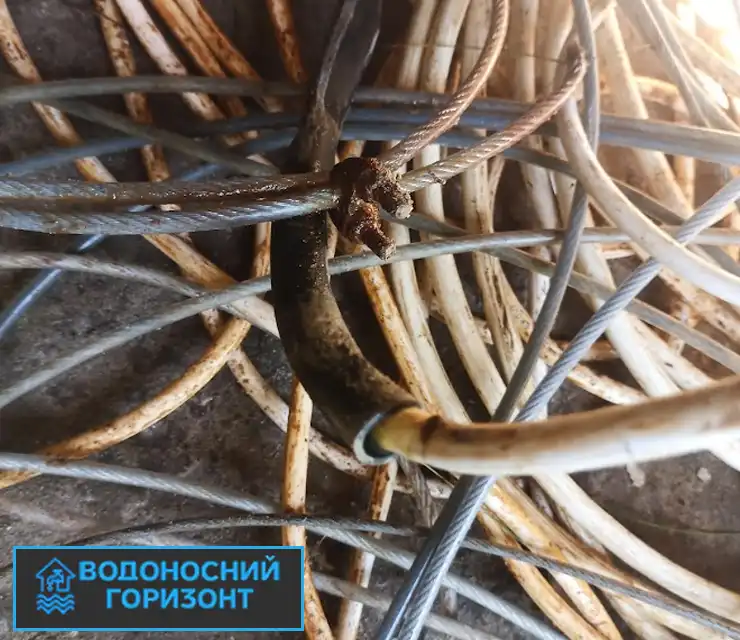Олександр, с. Щасливе (Пристолична громада)
