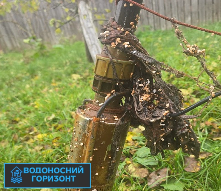 Тетяна, м. Боярка