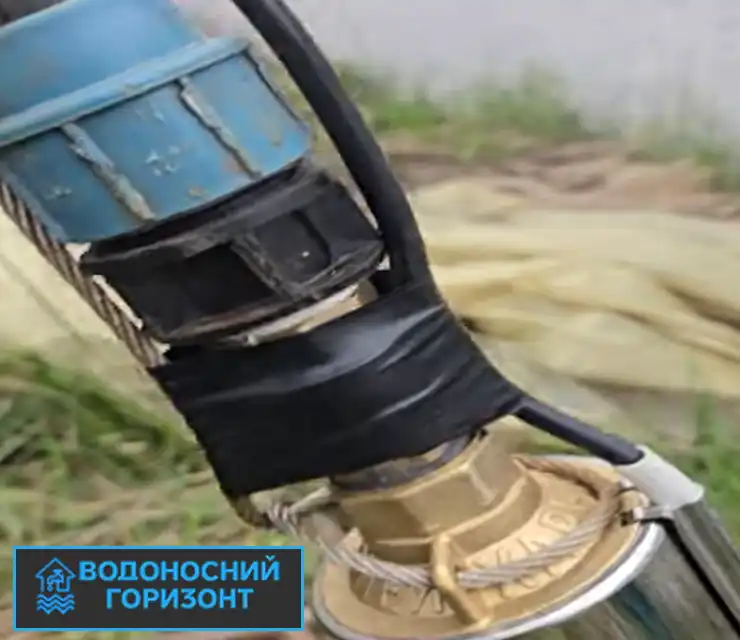 Людмила, с. Нові Петрівці